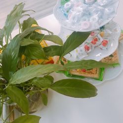 -Yue Show馨选·半永久纹眉纹眼线