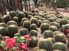 -石家庄市植物园
