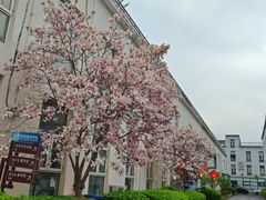 -李唐千秋客家菜