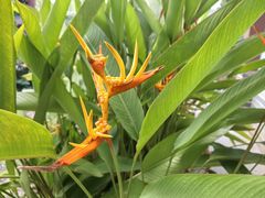 -惠州西湖风景名胜区-丰渚园