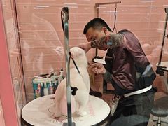 -FAELING PETS美天灵宠物(合生汇店)