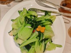 油菜-船歌·鱼水饺青岛菜(闽江二路店)