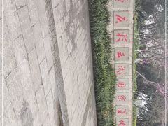 -重庆彩云湖湿地公园