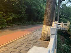 -黔灵山公园