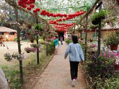 -北海金海湾红树林生态旅游区