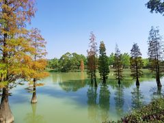 -星湖旅游景区七星岩