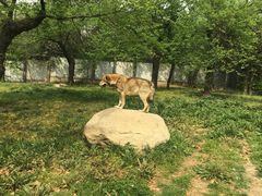 -西安秦岭野生动物园