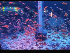 -海合安成都极地海洋公园