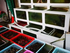 水产区-南蚝小贝海鲜特色餐厅(南澳岛店)