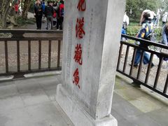 -西湖外事游船(花港观鱼码头)