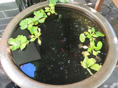 -伊隆斋(什刹海店)