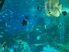 -锦艺城海洋馆