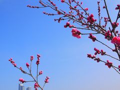 -南京眼步行桥