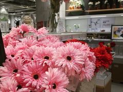 -宜家家居(西安未央商场店)