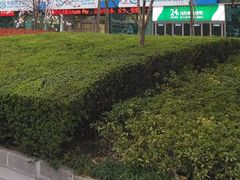 -中国民生银行(上海分行营业部)