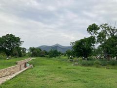 -桂溪生态公园