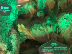 -佛爷洞旅游景区