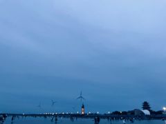 -奉贤海滩