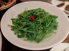 -张家卫·阳江菜·小海鲜(肥婆湾桥店)