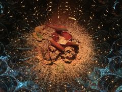 冬天的草莓田-地球美食剧场