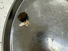 -美联众合爱康动物医院•复杂内科•肿瘤科•牙科•腔镜诊疗中心