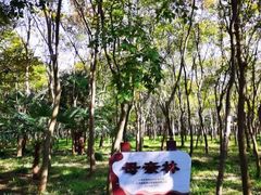 -小六农家乐(崇明西沙湿地店)