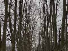 -钟山体育运动公园