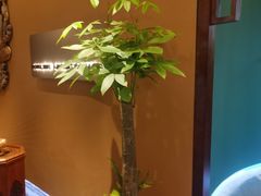 -泰悠谷养生SPA(世茂商业街店)