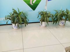 -中国建设银行(上海威宁路支行)