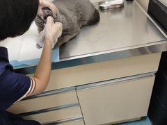 -仁华宠物医院(青羊店)