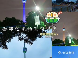 ️最近老从电视塔底下过，各种各样的原因，顺手也在各种
