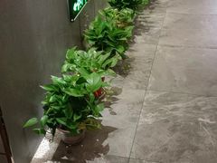 -禧瑞 ·丝浴主题·水疗·spa(中山公园店)