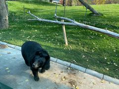 -北京野生动物园