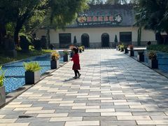 -森波拉火山温泉