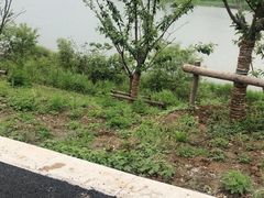 -嵖岈山风景区