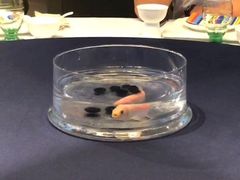 -海上明月(购物公园店)