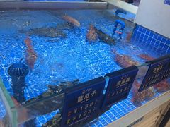 -皮记海鲜1995(寮步店)