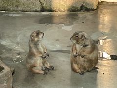 -大连森林动物园