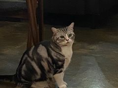 -咖法森林·咖啡  酒吧(天河店)