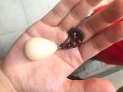 -磁器口古镇