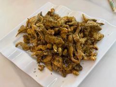 -马旭土鸡焖花卷新疆菜大盘鸡·真域顺西域美食(天马大道店)
