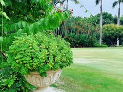 -棕榈泉国际高尔夫学院