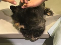 -小时光咖啡馆(开森度假森林店)