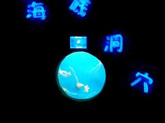 -常州海昌海洋探索馆