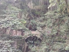 -莫干山风景区
