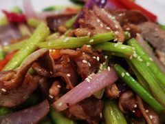 -姚林轩