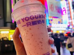 -一只酸奶牛(八一路店)