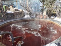 -长白山聚龙火山温泉