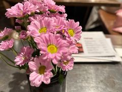 -Apollo·西班牙小酒馆(安福路店)