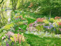 -上海共青森林公园